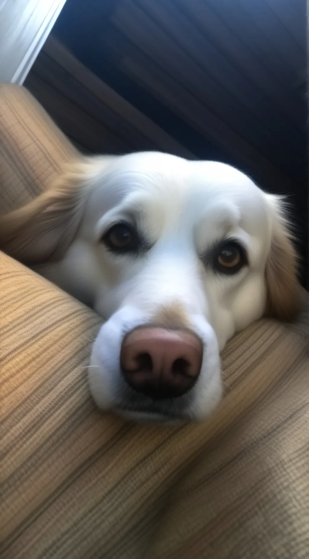 ai character: Cute dog background