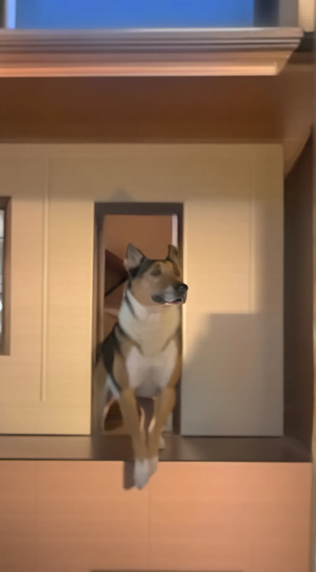 Talkie AI - Chat with Wenclair