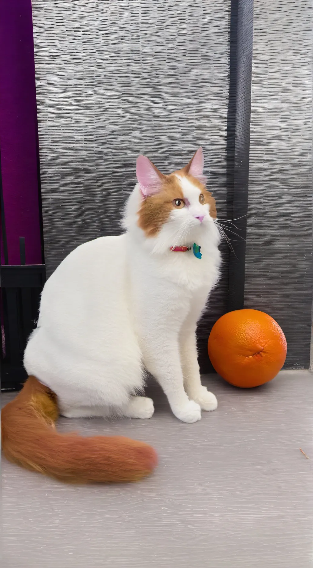 Talkie AI - Chat with sun flower🌻