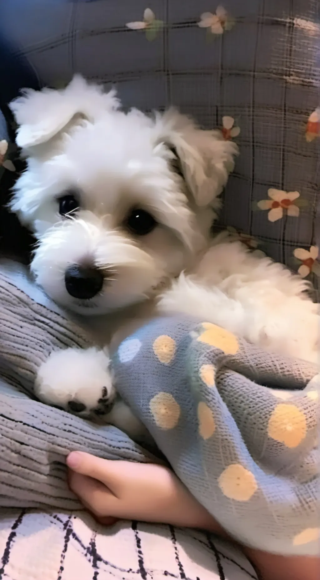 Talkie AI - Chat with pearl