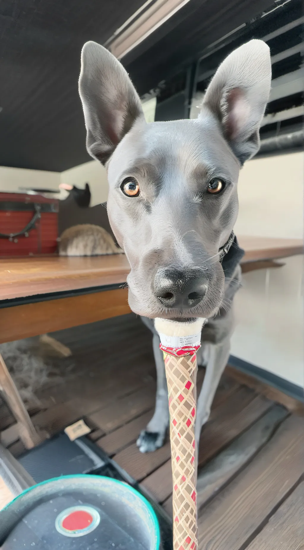 Talkie AI - Chat with Dougie