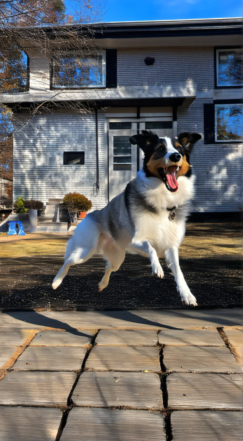 ai character: Doggo🥹 background