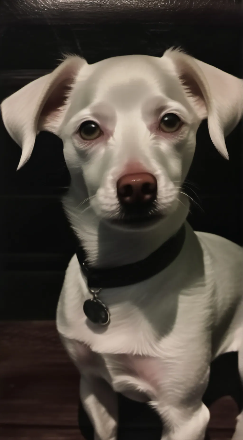 ai character: Tempe background