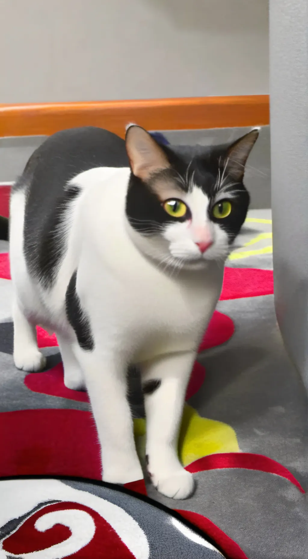 ai character: My cat who ran awa background