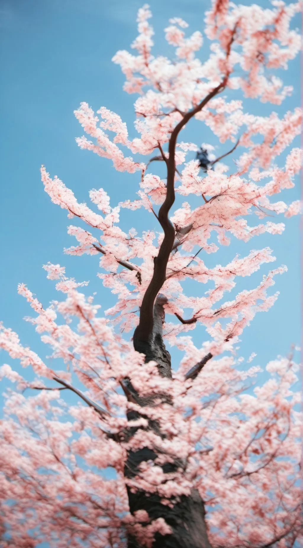 Talkie AI - Chat with Lily