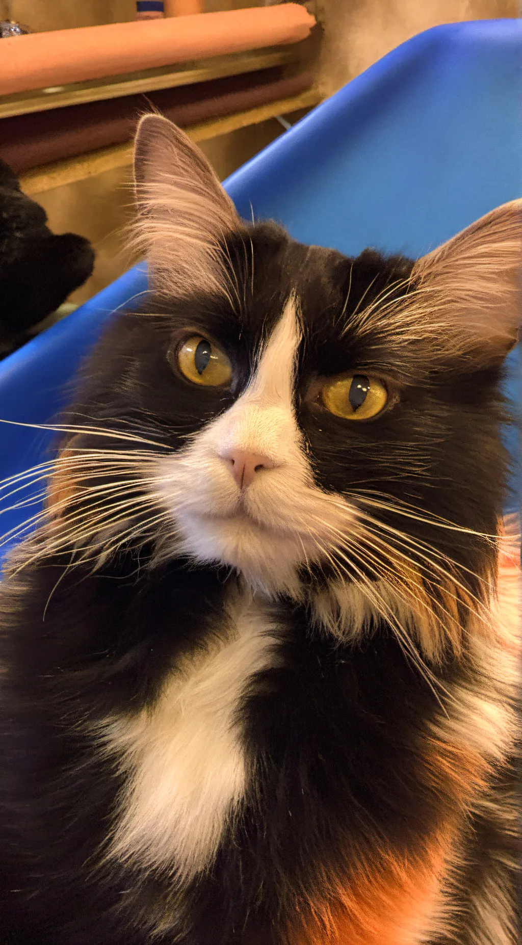 ai character: Half life’s background