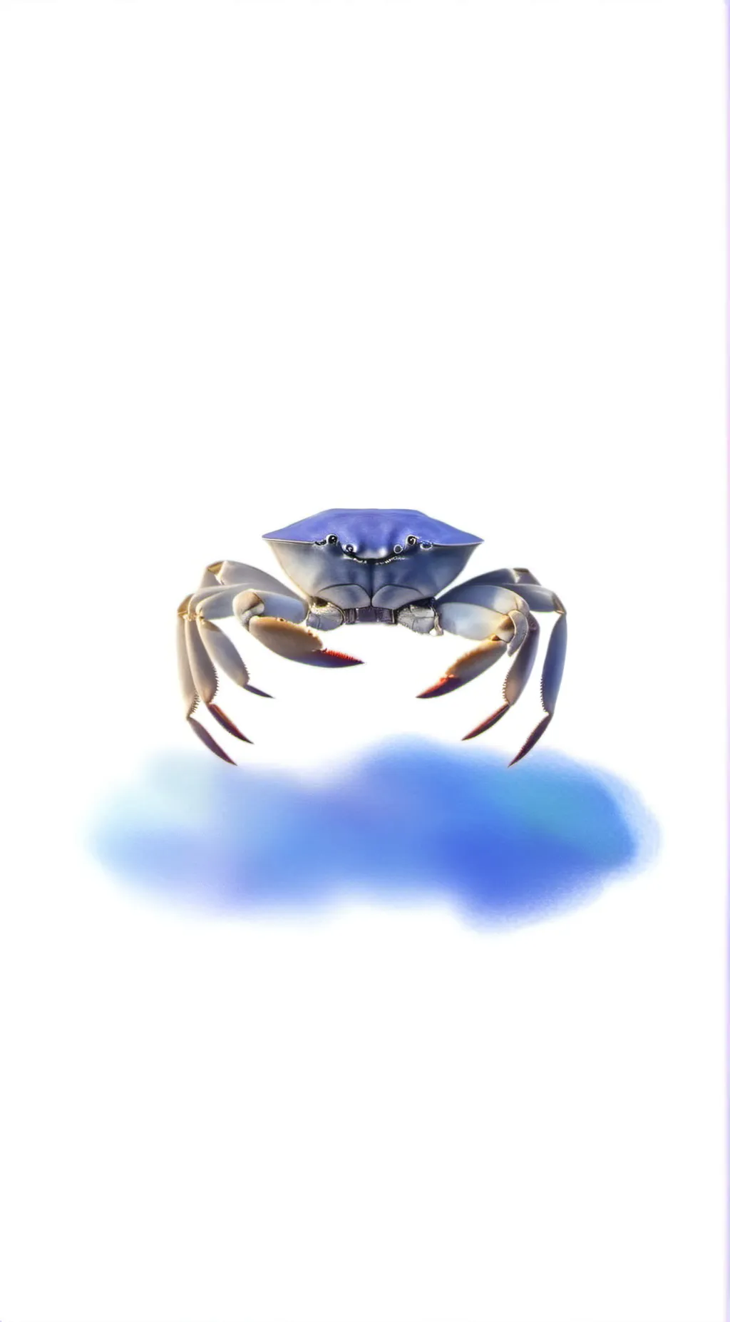 Talkie AI - Chat with Crab