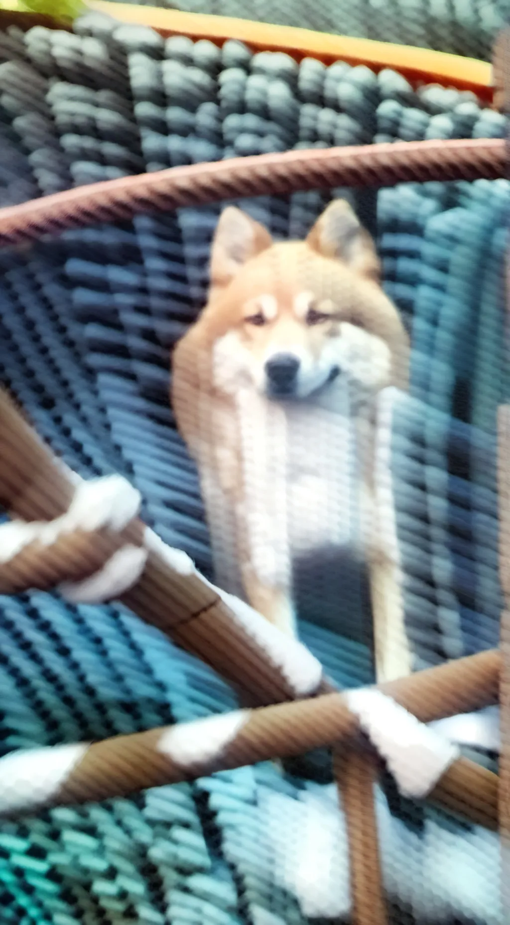 Talkie AI - Chat with Daisy