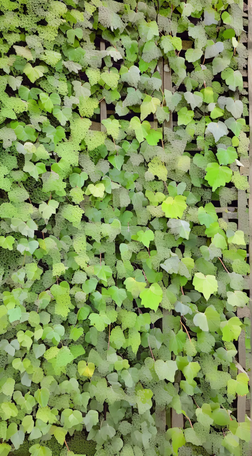 Talkie AI - Chat with Touch Grass