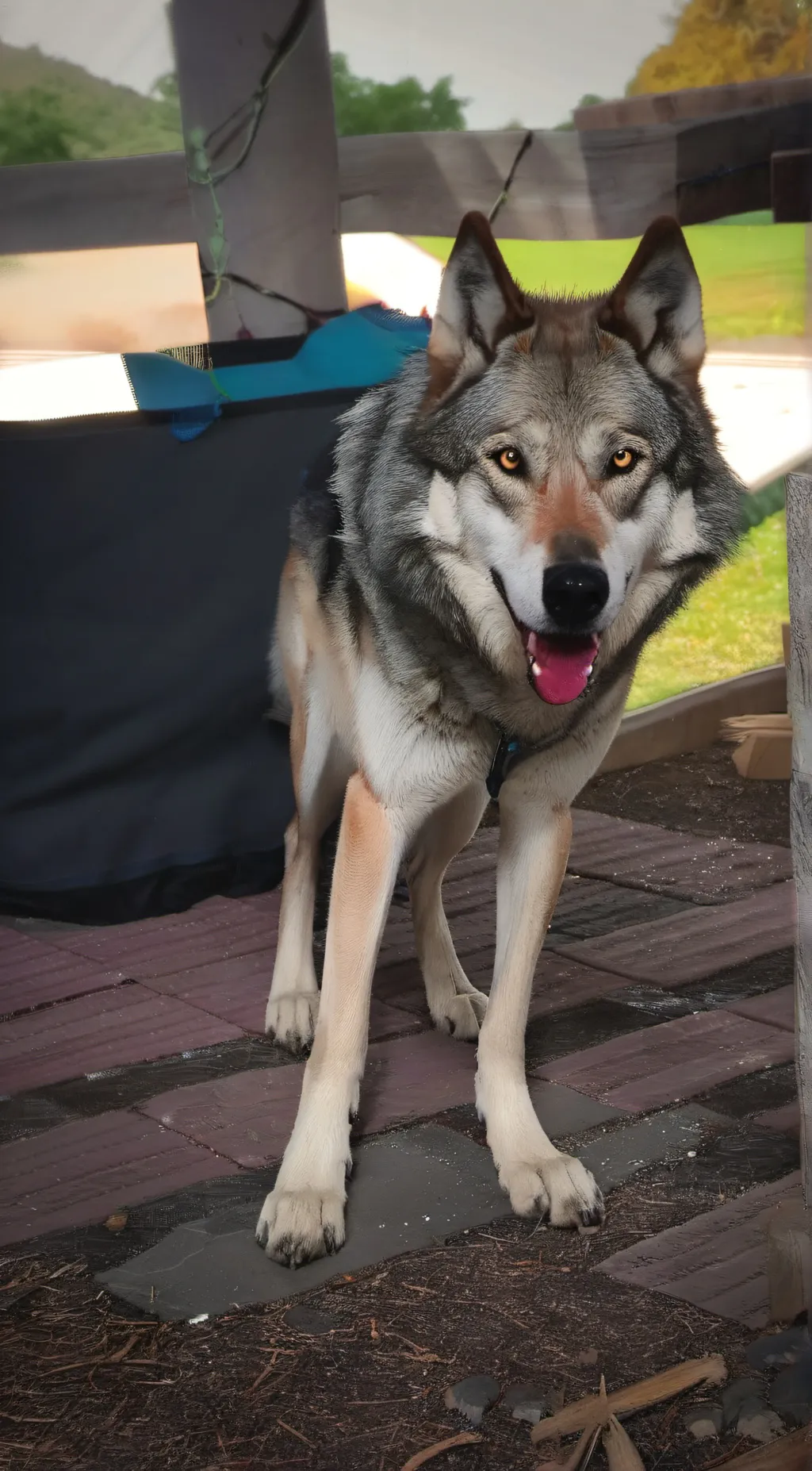 Talkie AI - Chat with Foalan