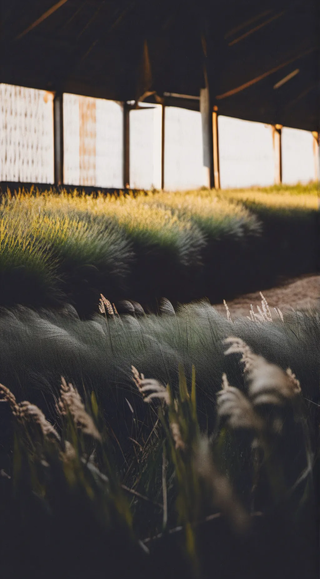 ai character: GRASS💀💀💀💀💀 background