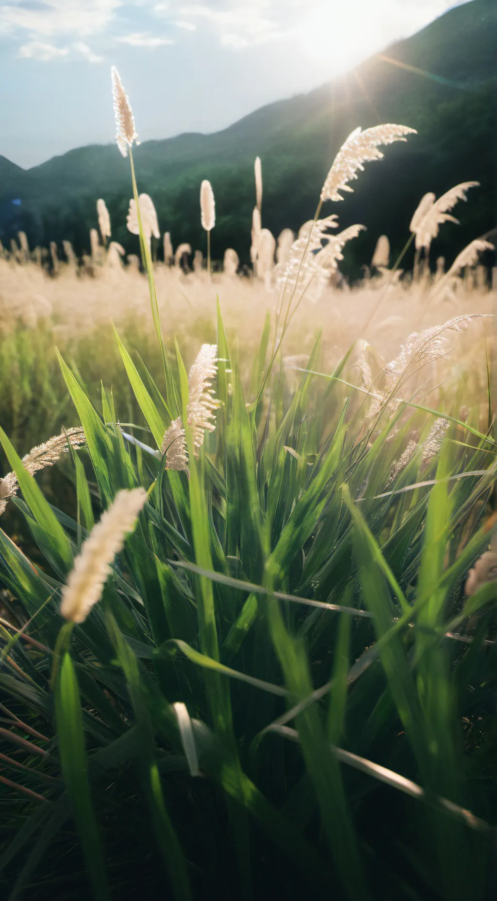 ai character: GRASS background