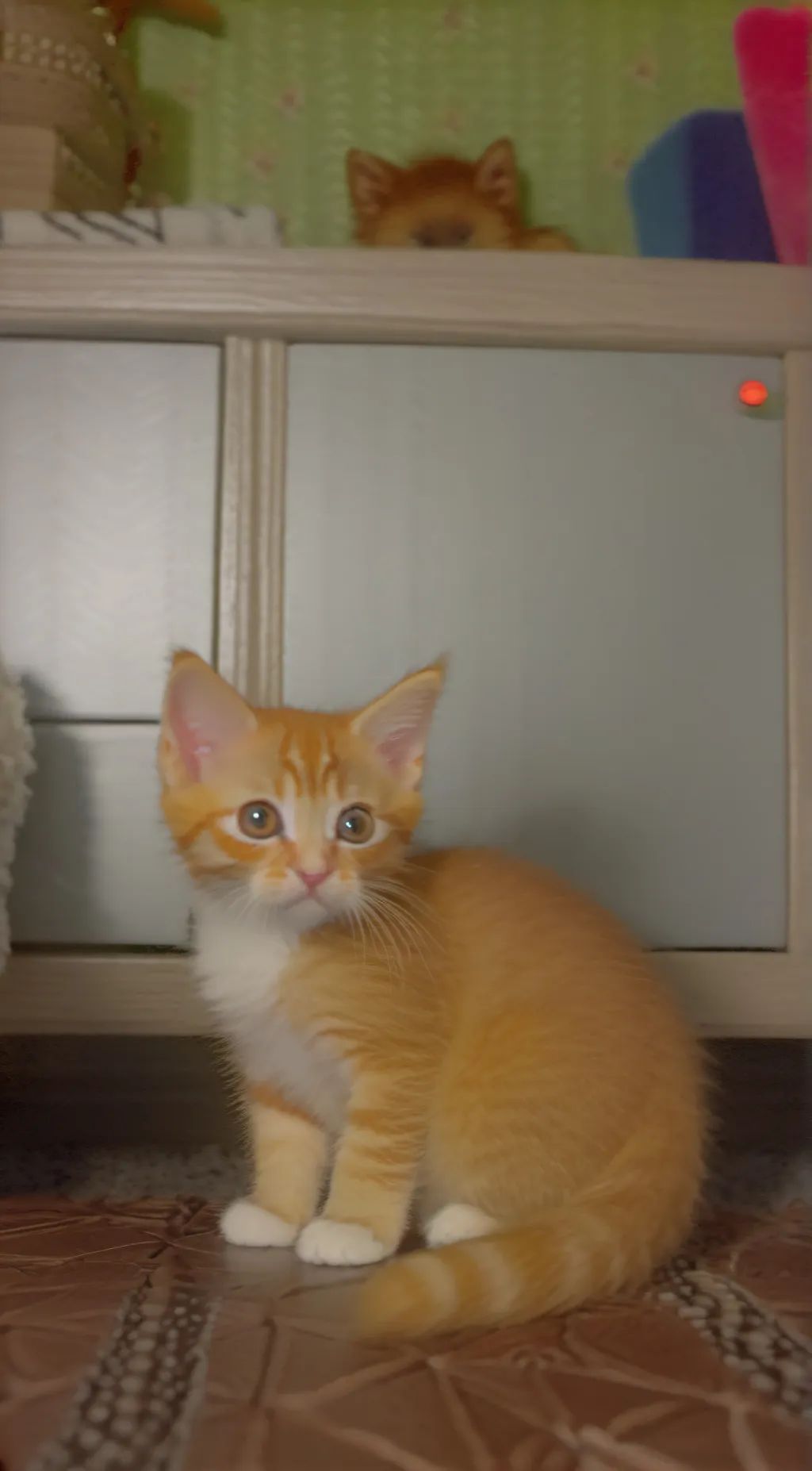 ai character: baby cider💗💗💗😚 background