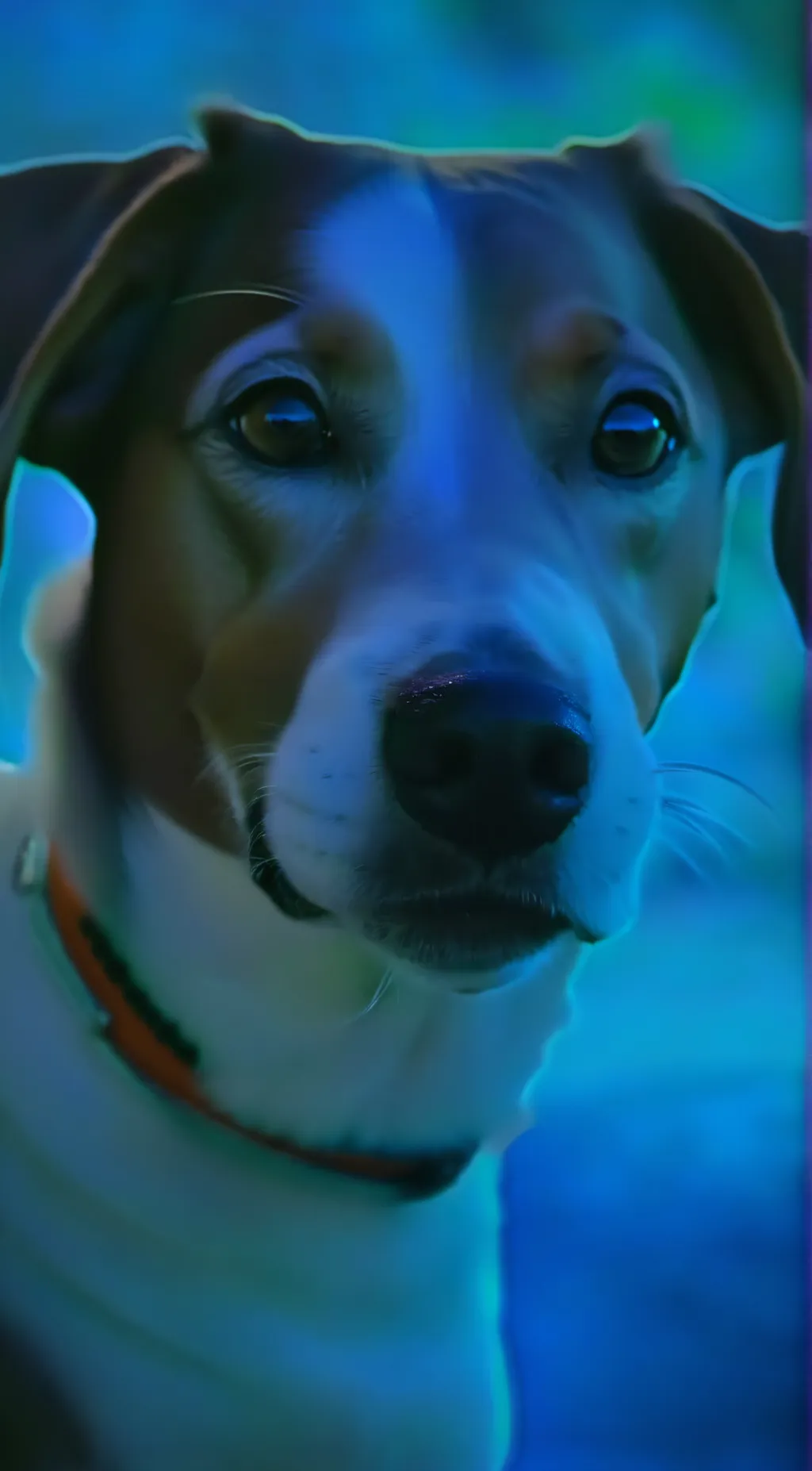 ai character: dog background