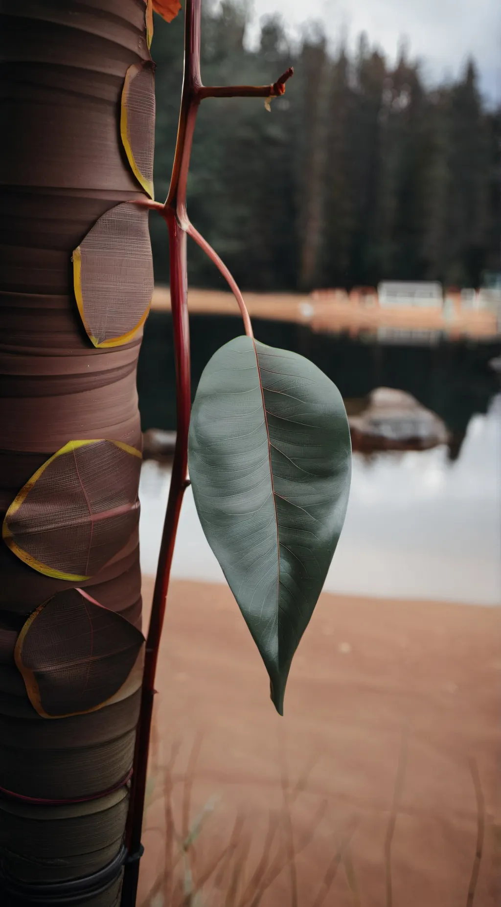 ai character: Leafy Bfdi background