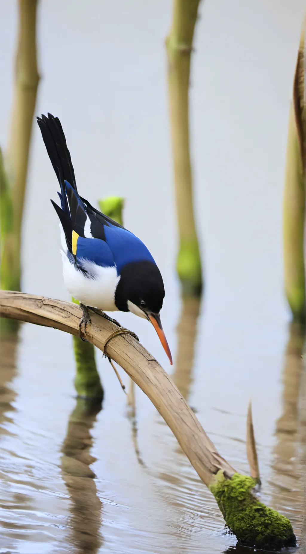 ai character: yourwholefyp v2 background