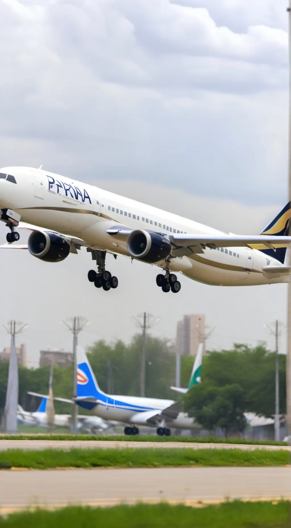 ai character: Pakistani plane  background