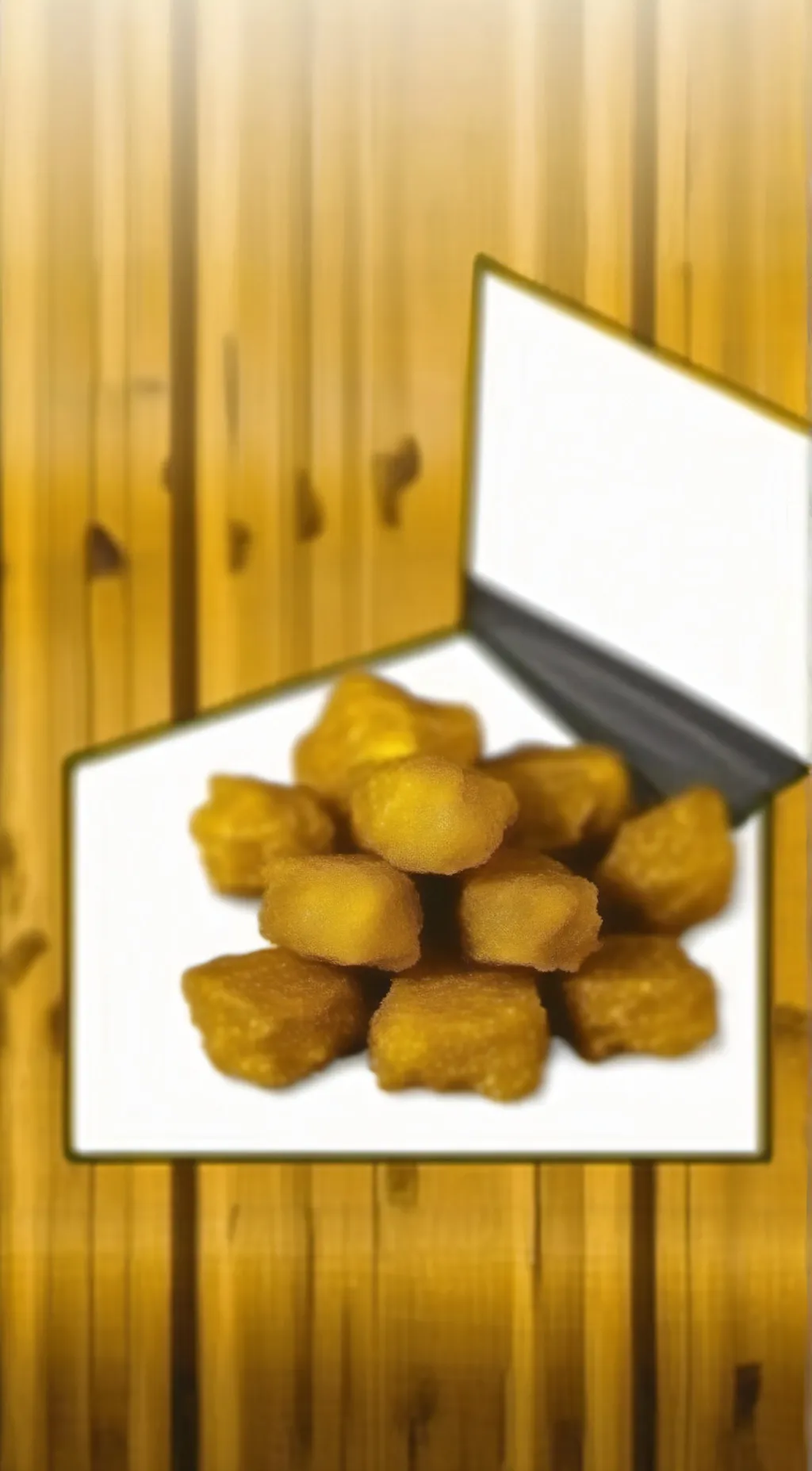 Talkie AI - Chat with Nugget