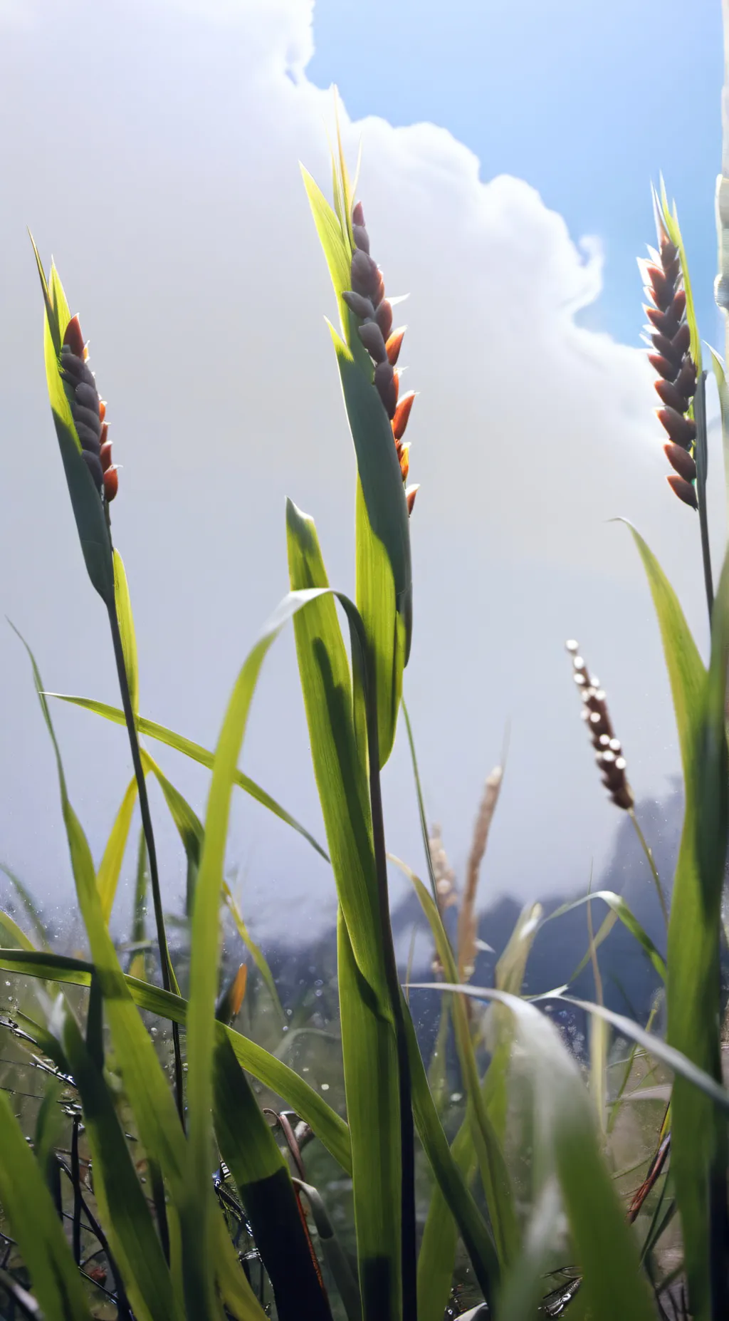 ai character: Grass background