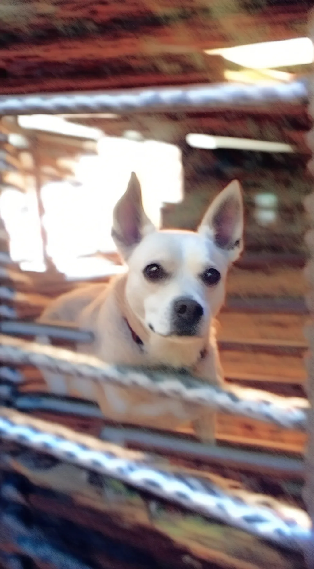 ai character: hanna background