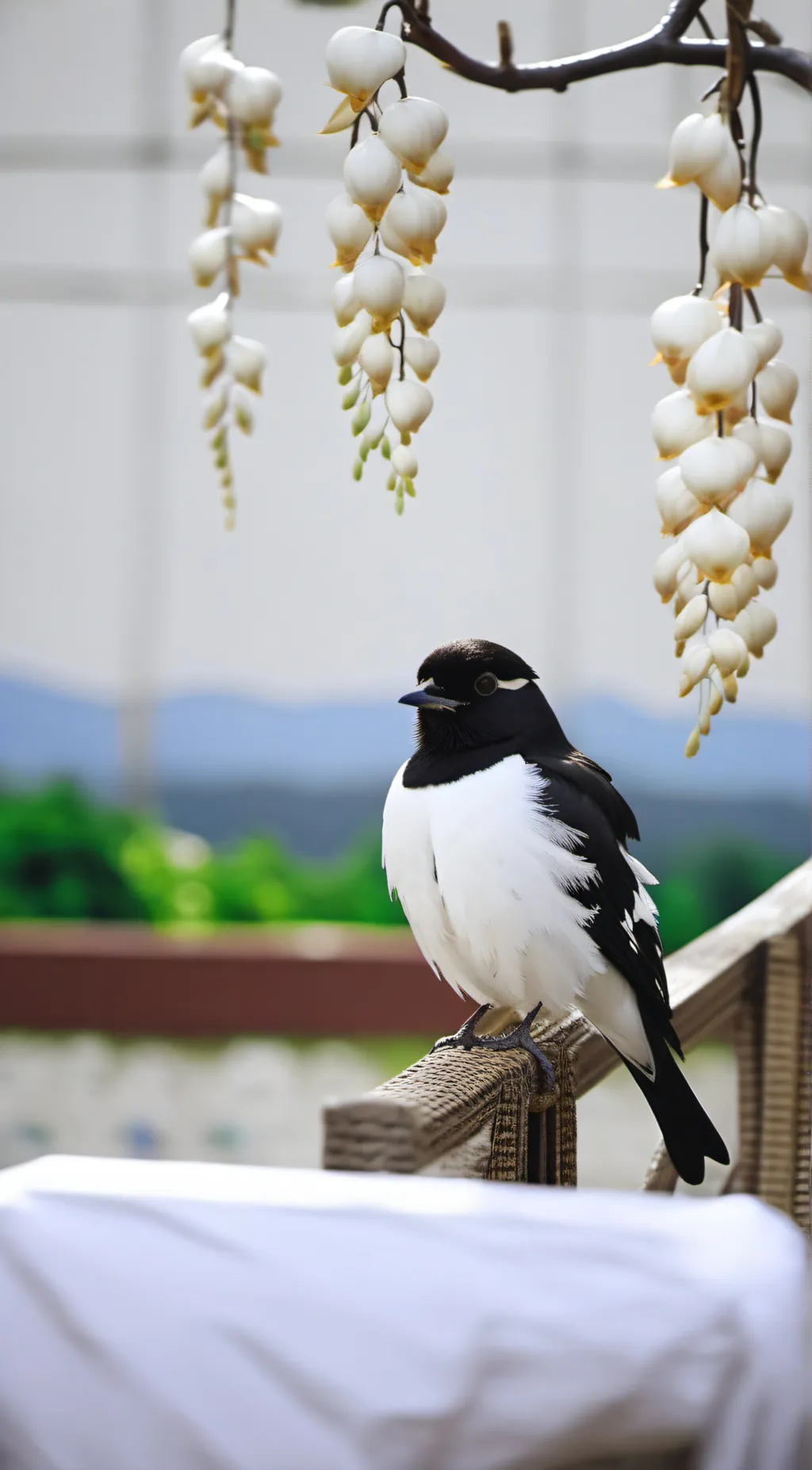 ai character: Bird background