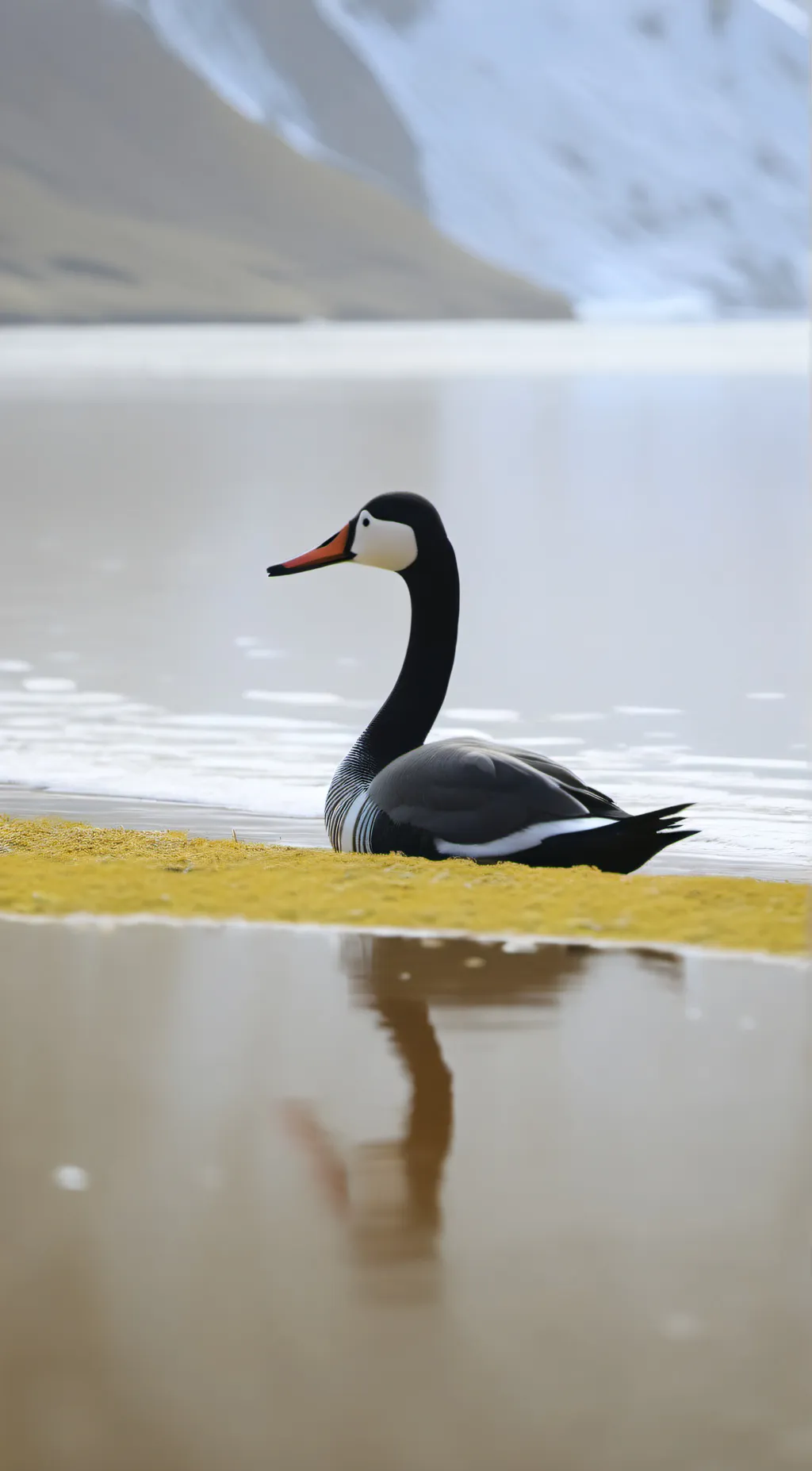 Talkie AI - Chat with swanny swan bob