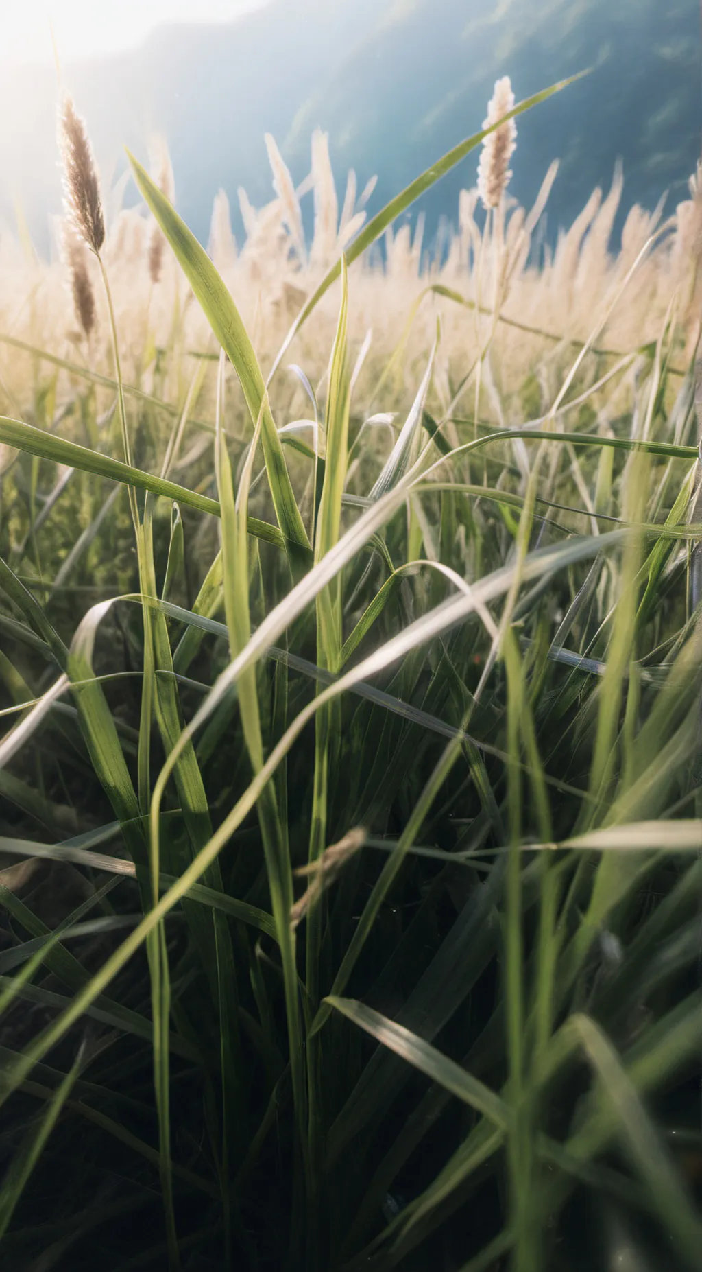 ai character: Bro💀 background