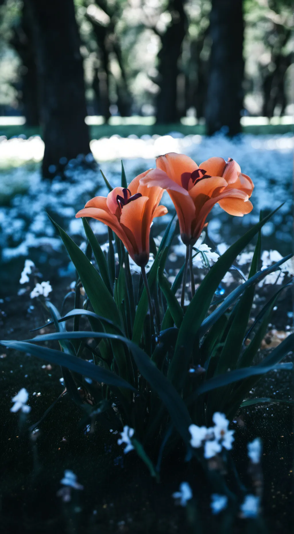 Talkie AI - Chat with Boy or girl