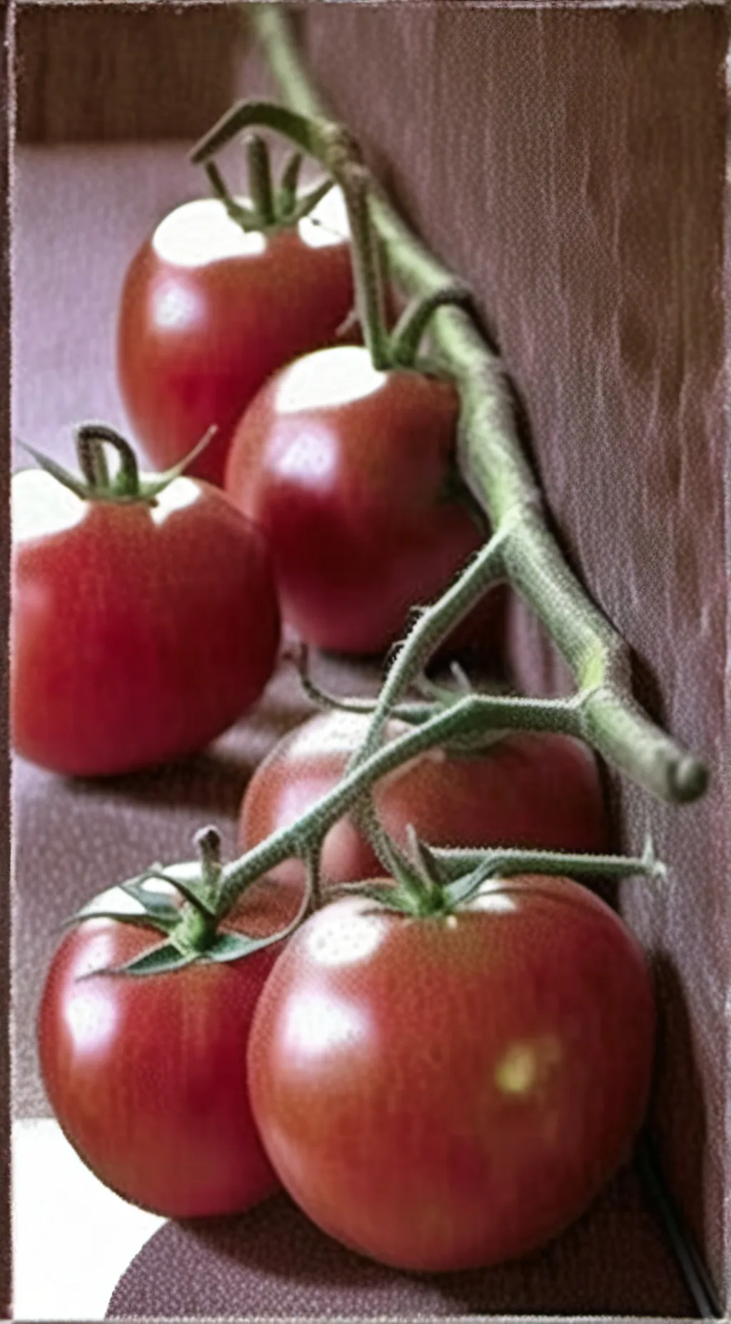 ai character: Tomato  background