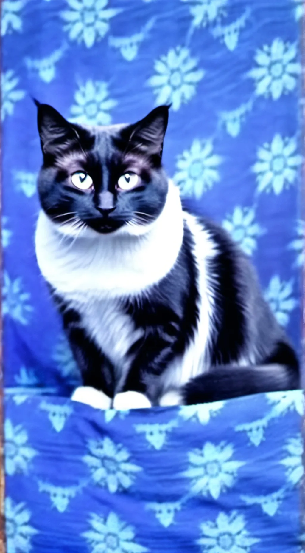 ai character: maxwell the cat background