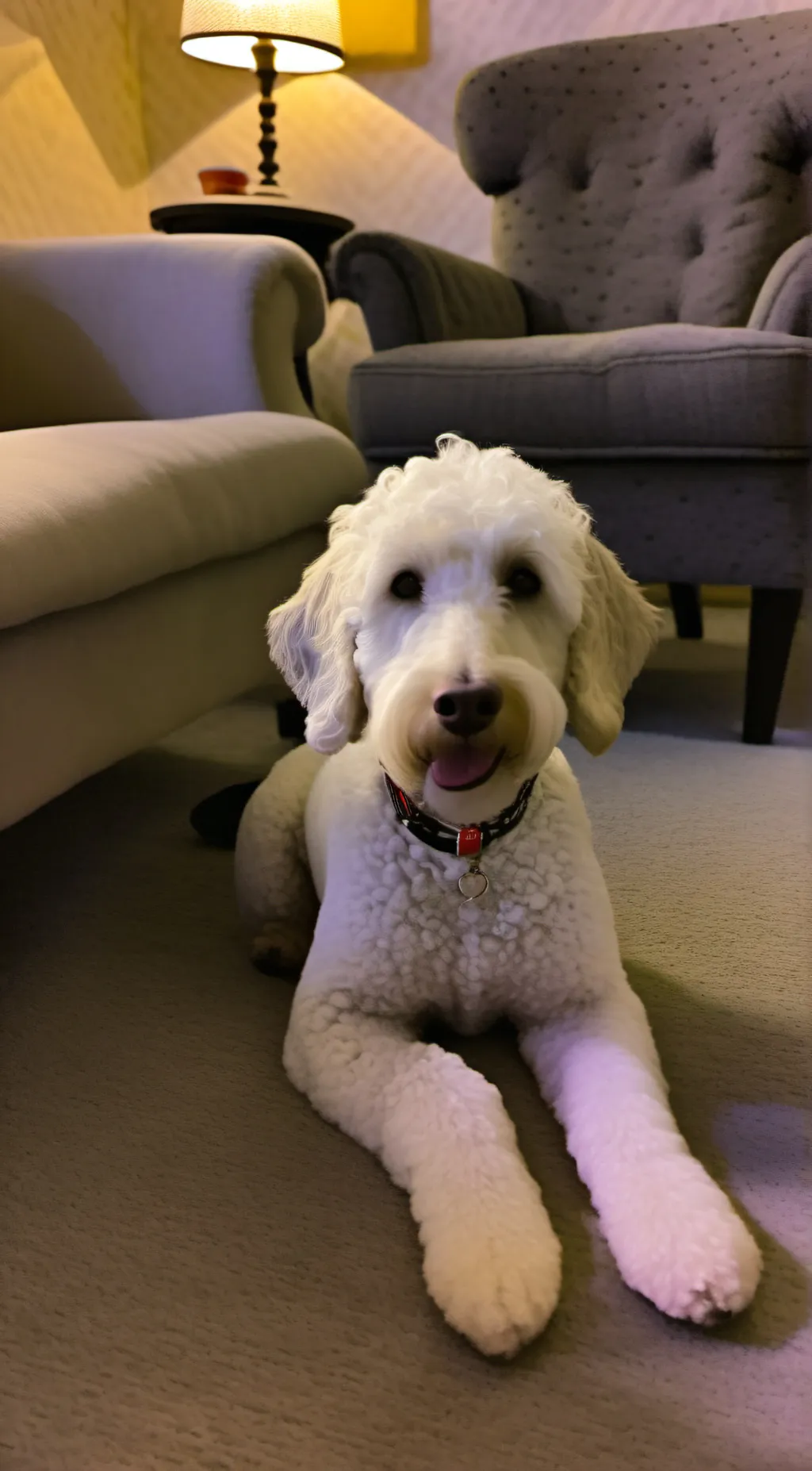 ai character: Kaylee background