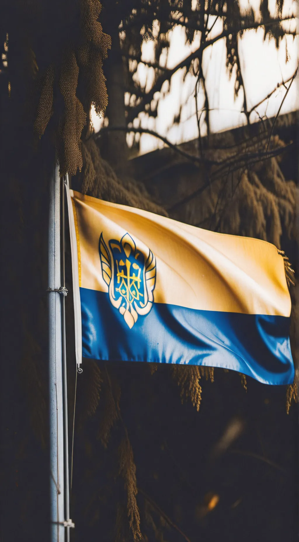 ai character: Ukraine background