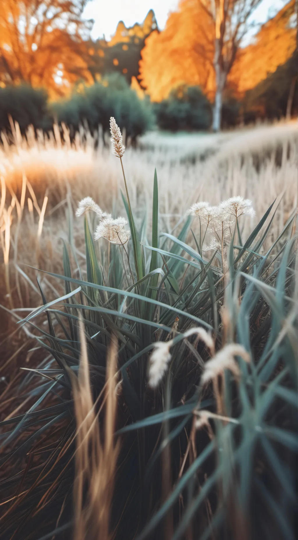 Talkie AI - Chat with touch some grass