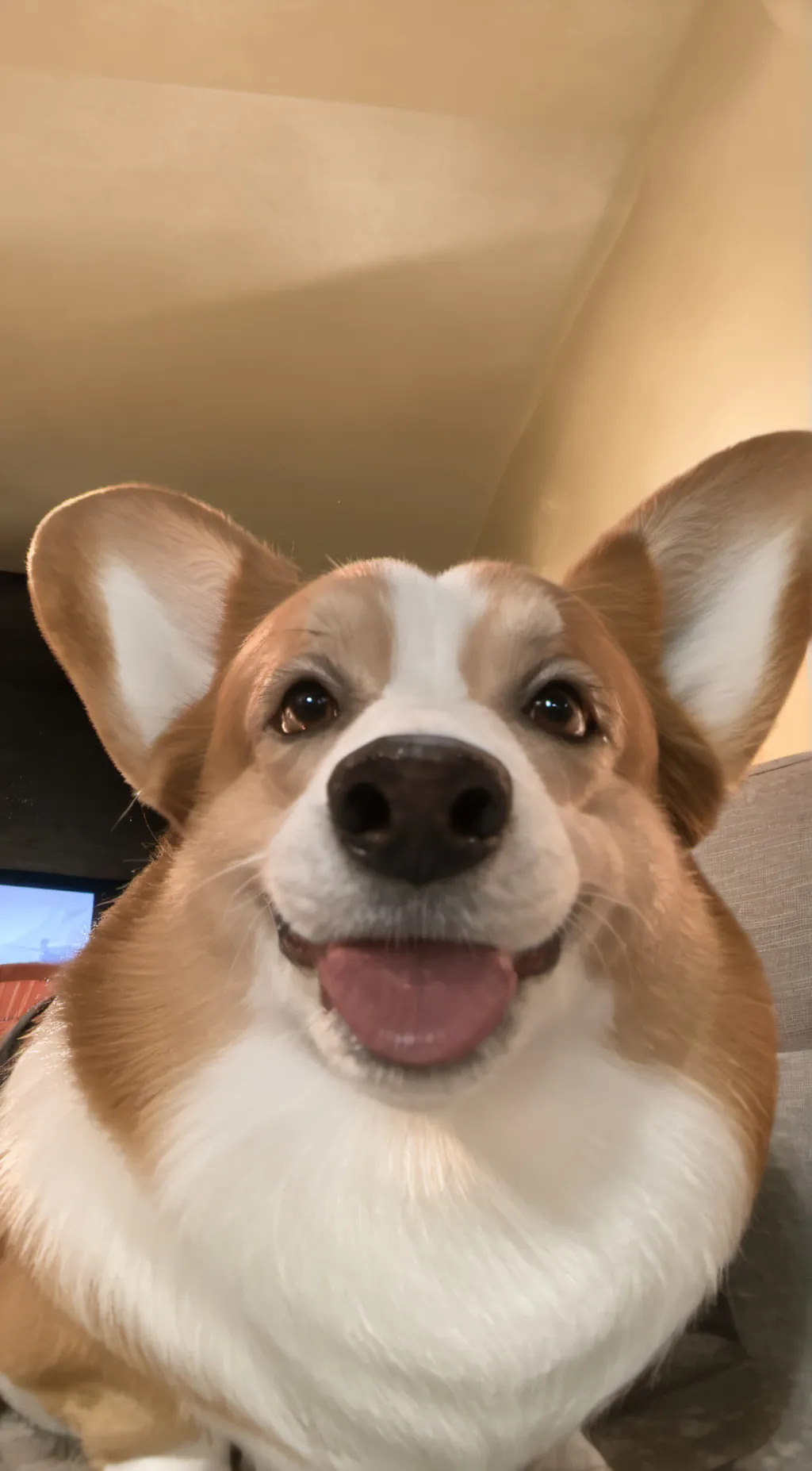 ai character: Ollie  background