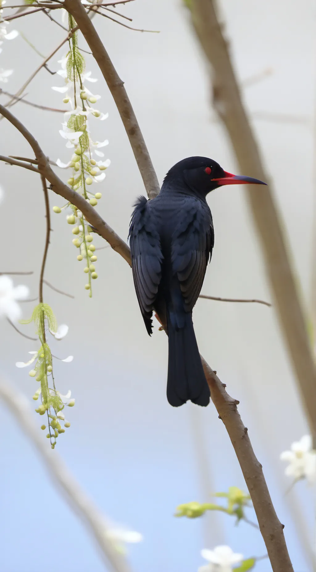 ai character: Queenie background