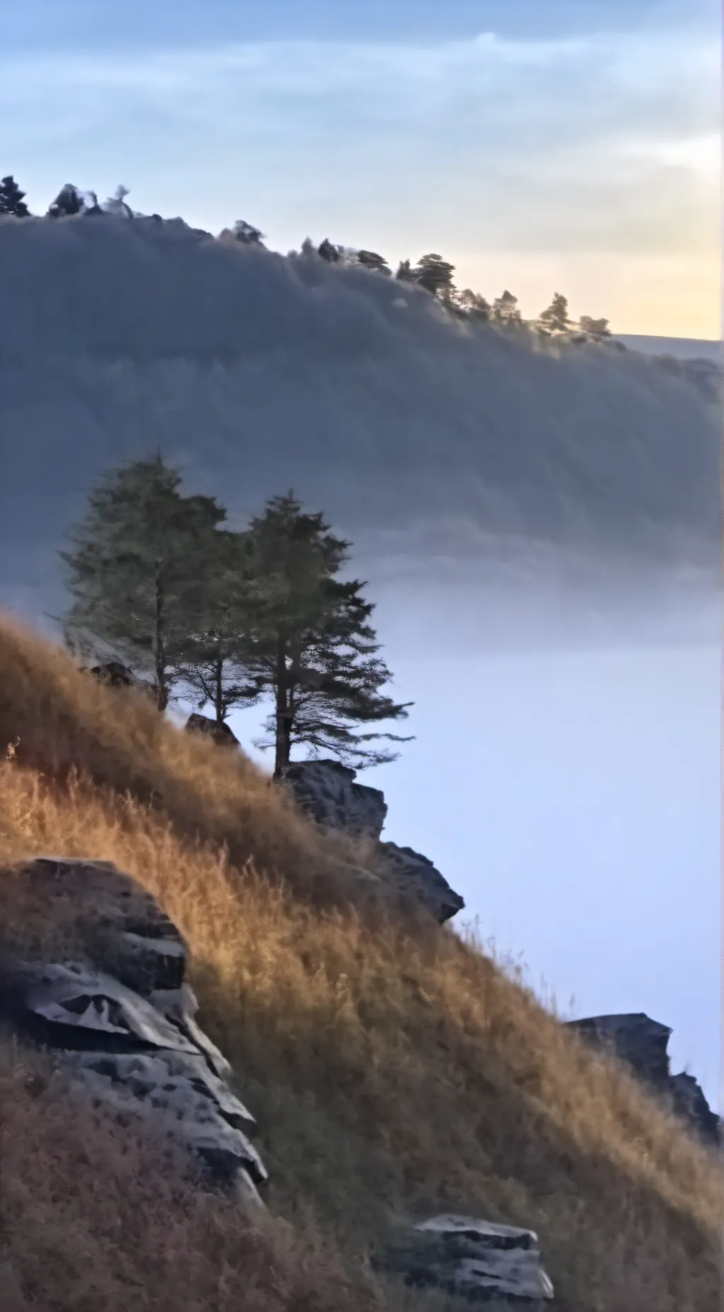 Talkie AI - Chat with Talkie Checkpoint