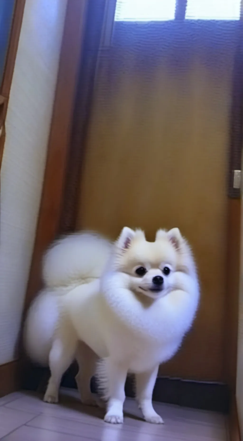 ai character: Gabe background