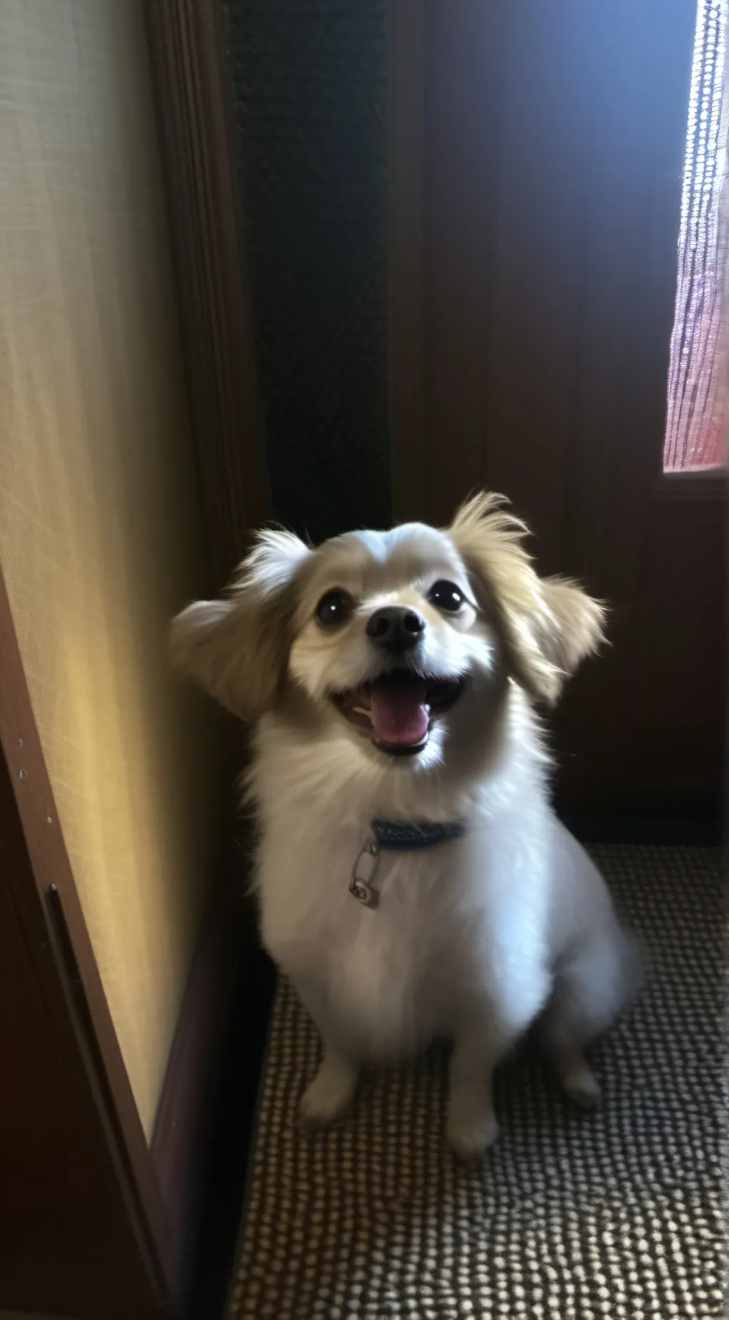 ai character: Pablo background