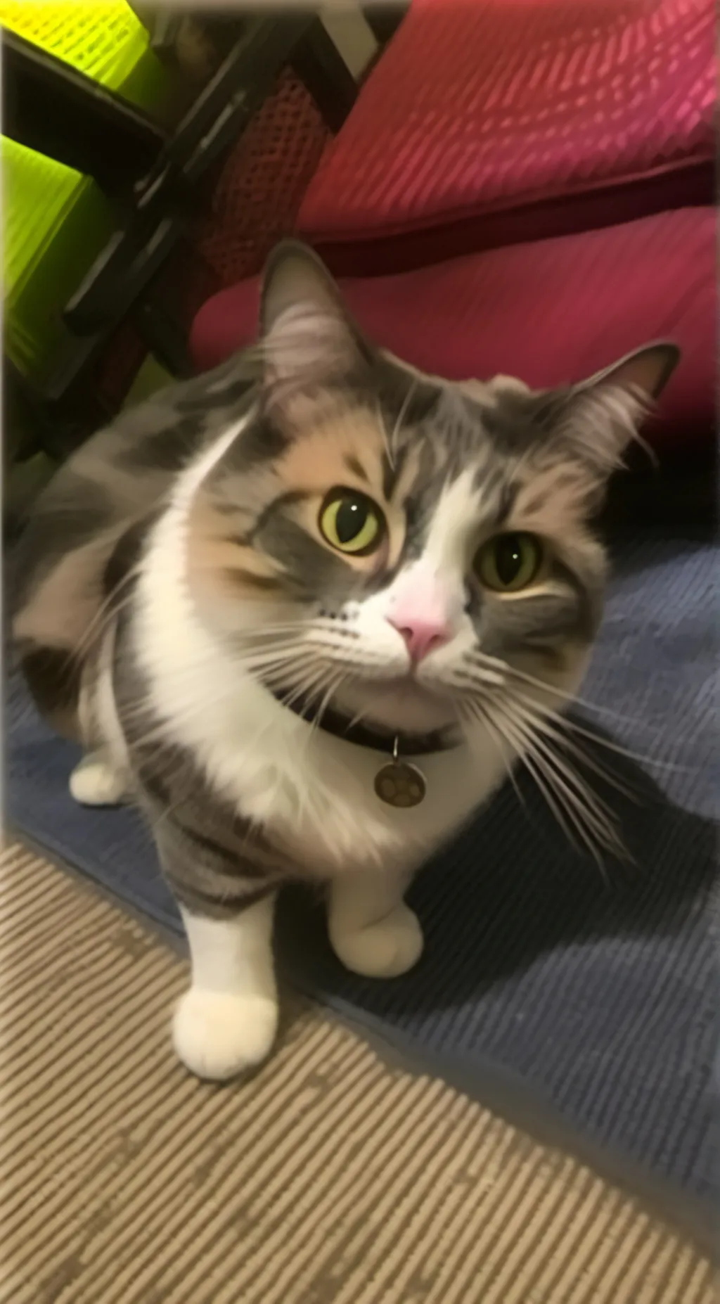 ai character: Kirby the cat! background