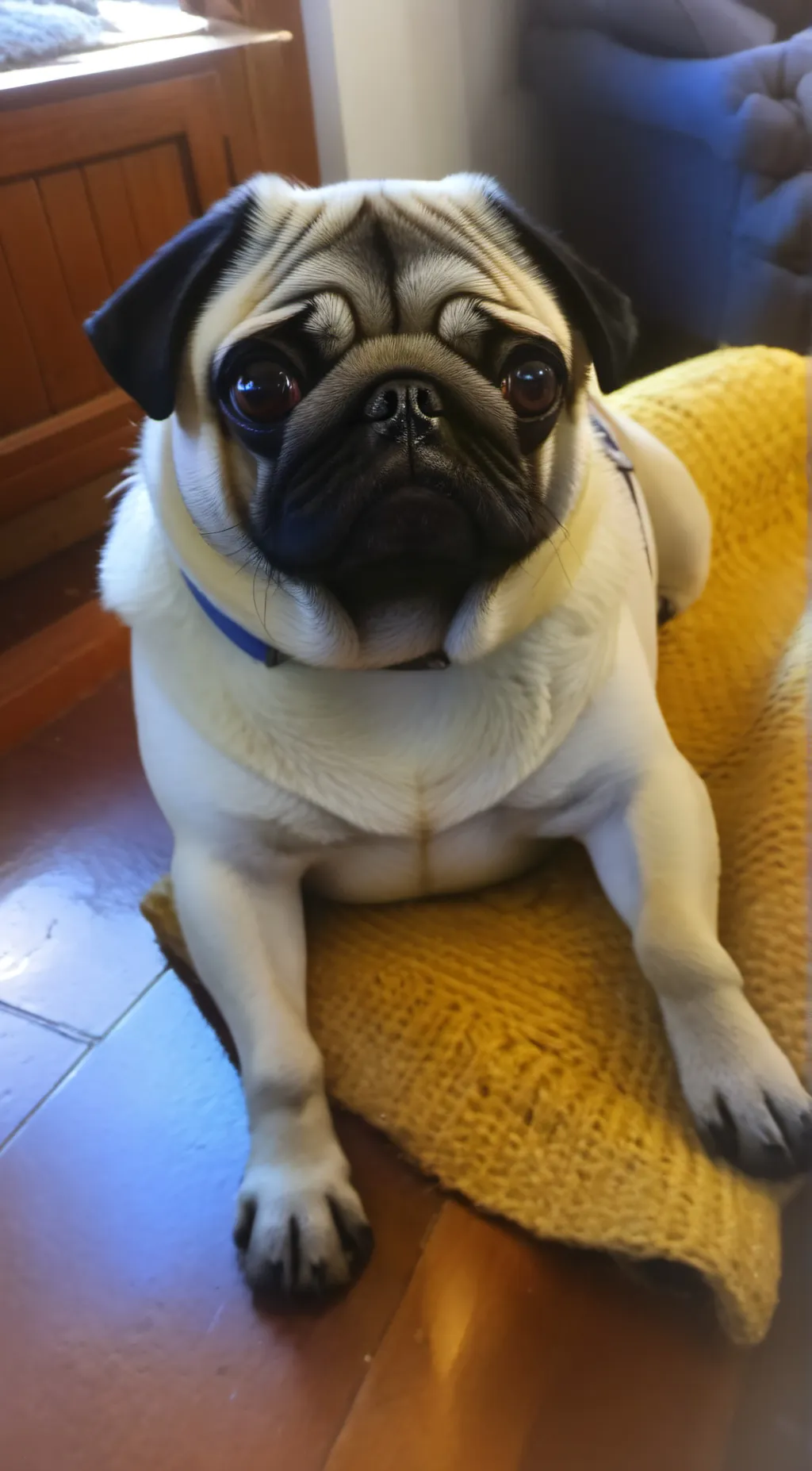 ai character: puggy background