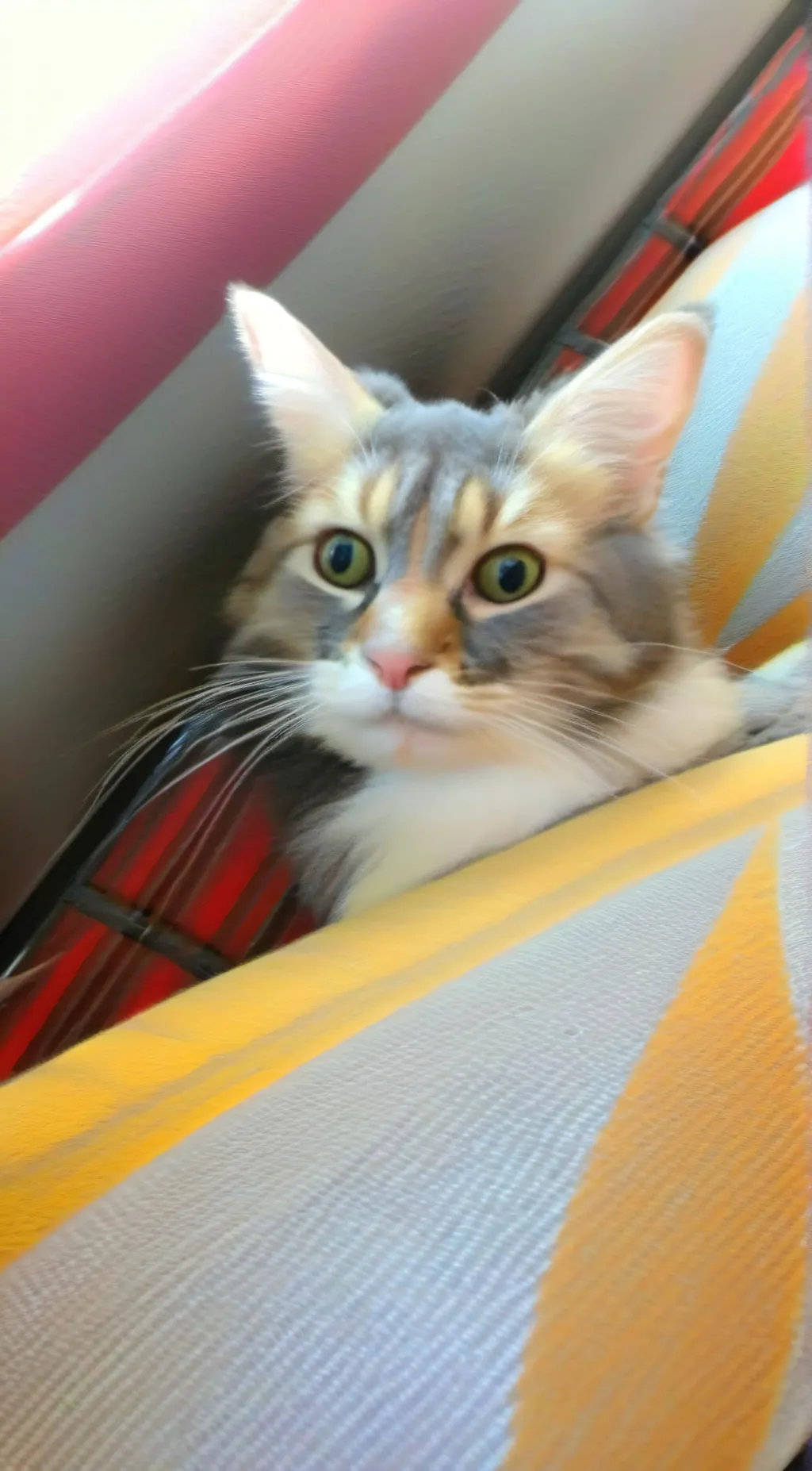 Talkie AI - Chat with Neo/neopoltin