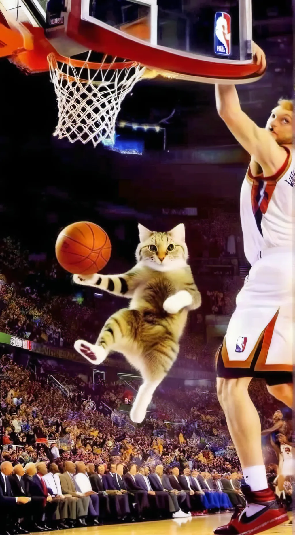 Talkie AI - Chat with Baller cat 34