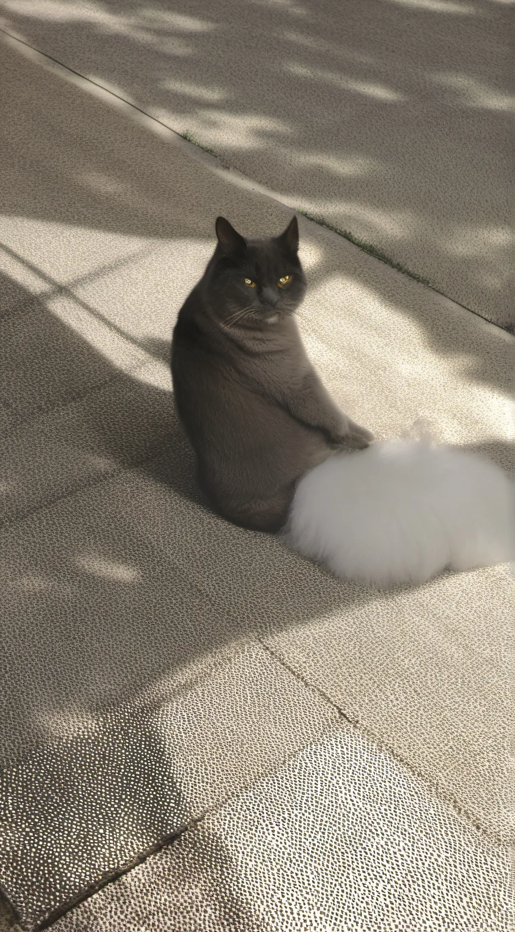 Talkie AI - Chat with Grayson