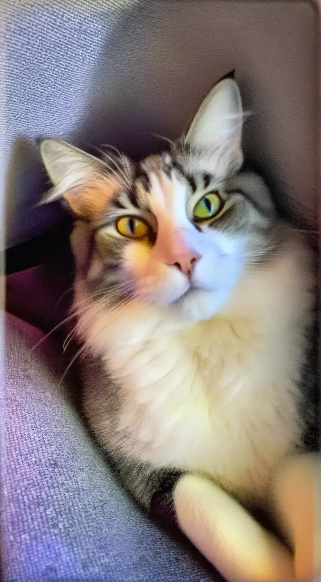 ai character: Simon background