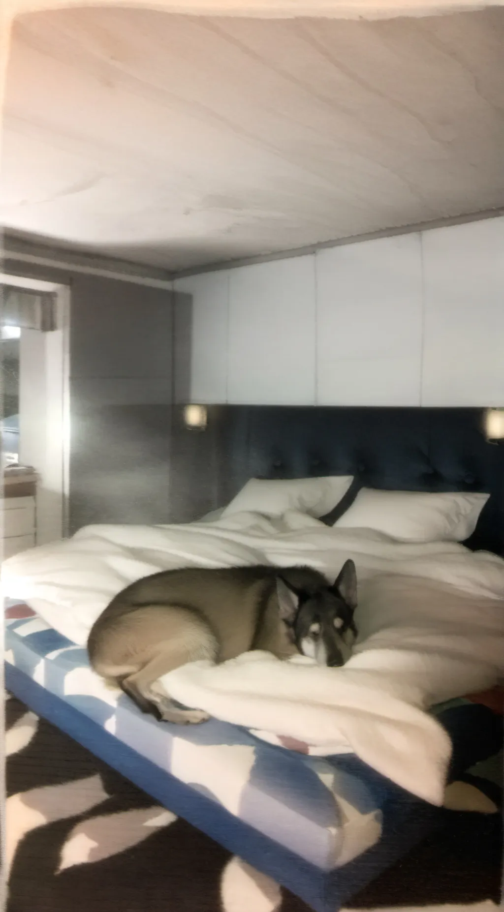 Talkie AI - Chat with your fog