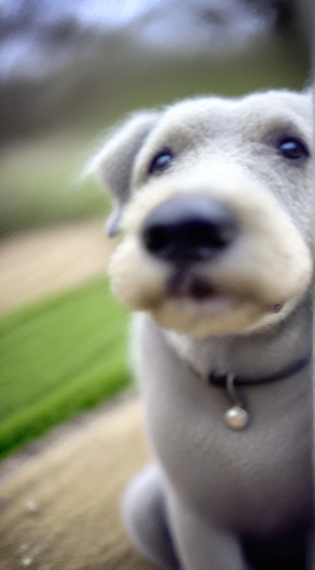 ai character: Deaner the weaner background