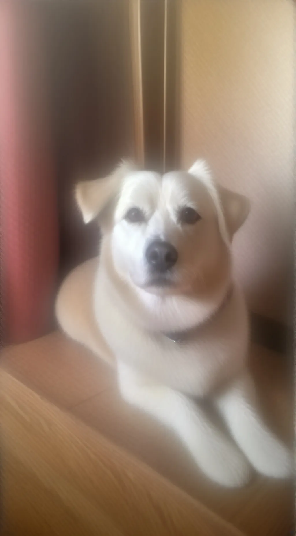 ai character: e background