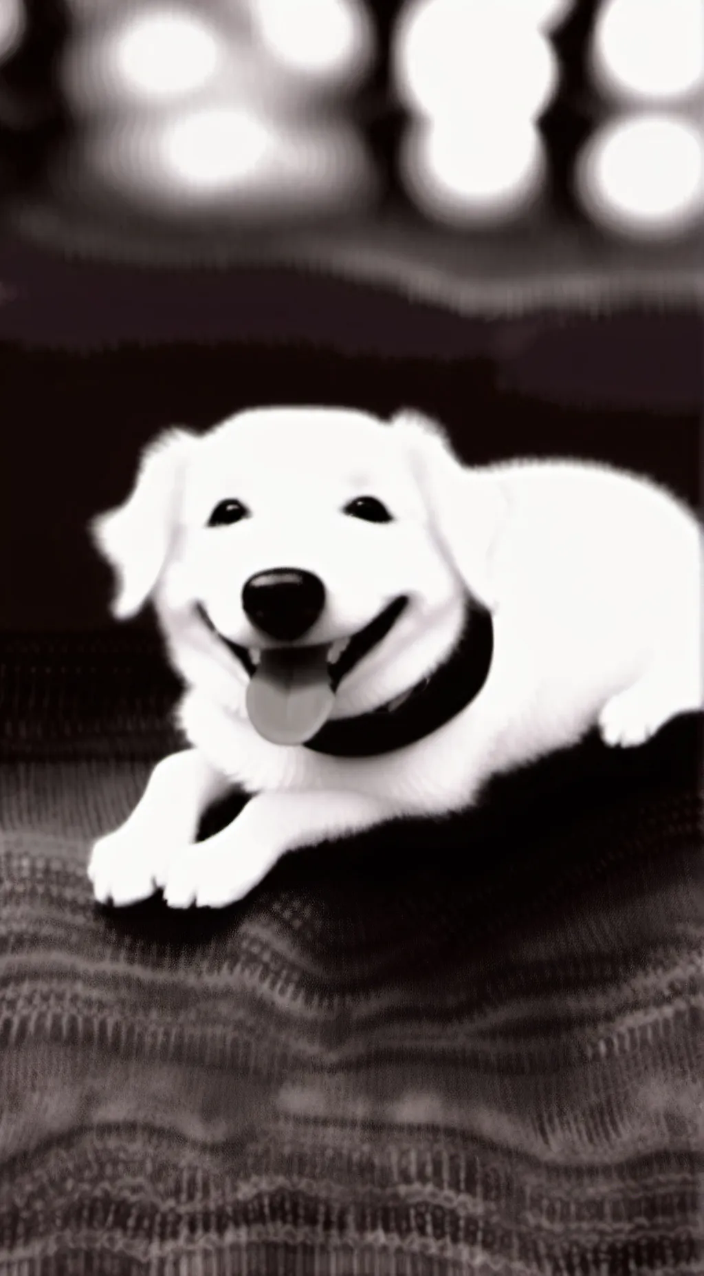 Talkie AI - Chat with Schibledibble