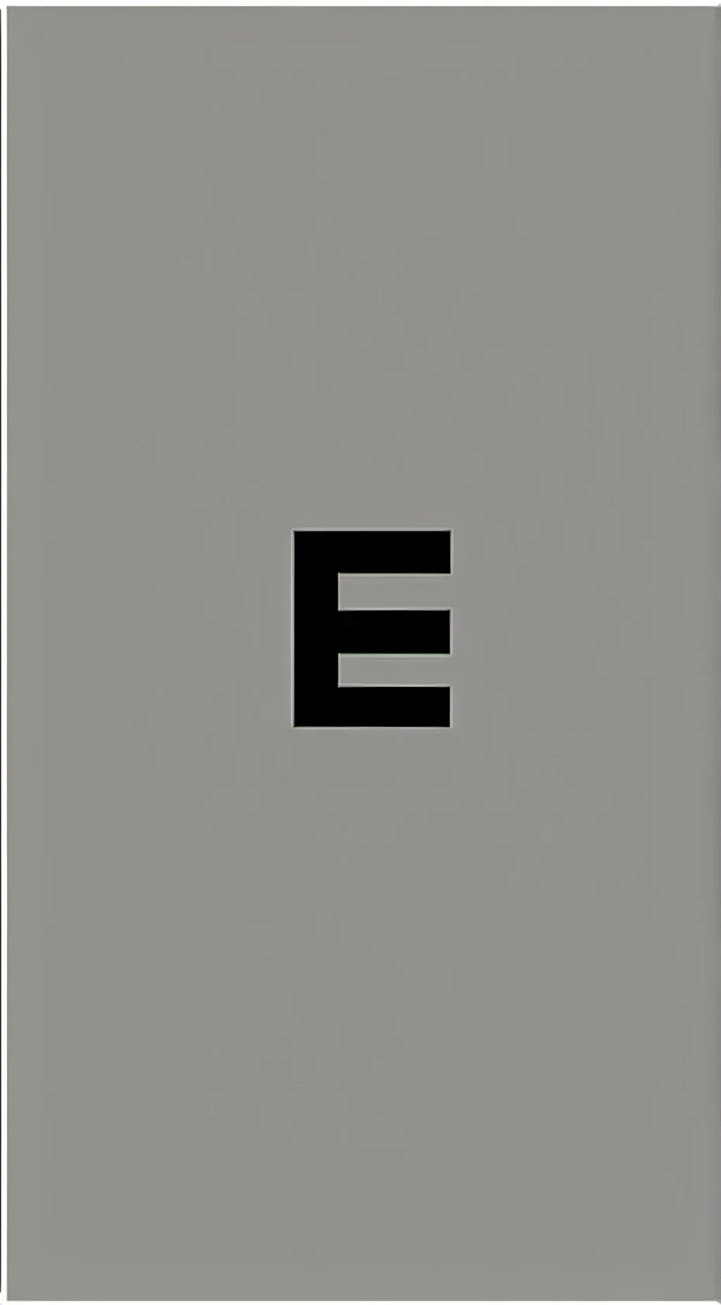 ai character: E background