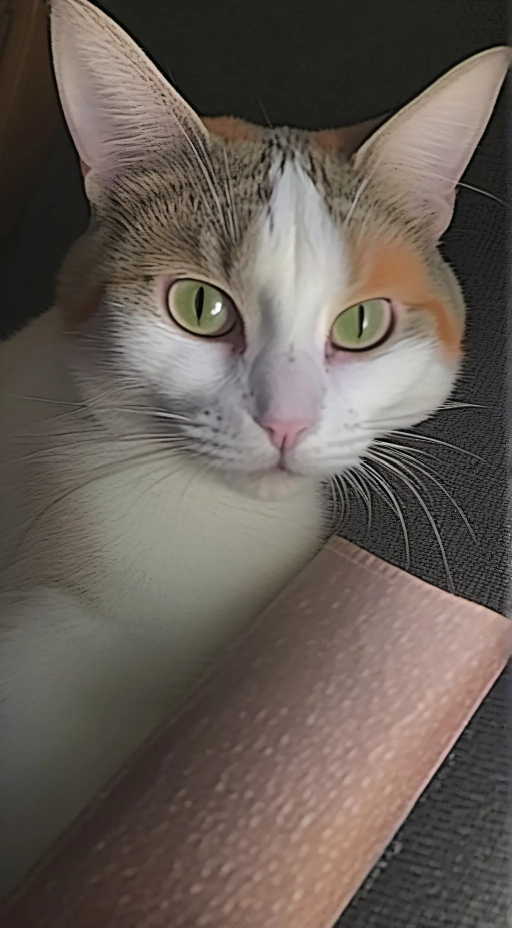 ai character: sunny background